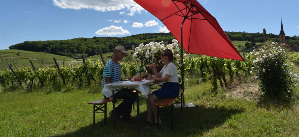 pique niques dans les vignes au domaine frey benoit