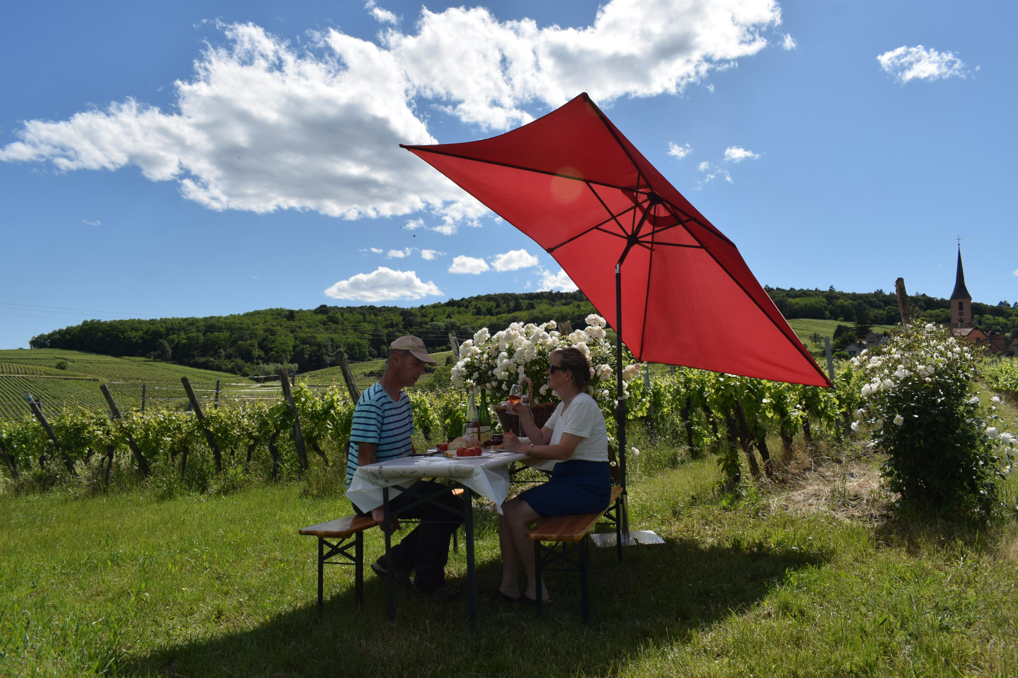 pique-nique chez le vigneron